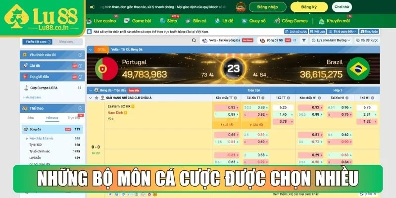 Những bộ môn cá cược được chọn nhiều nhất hiện nay